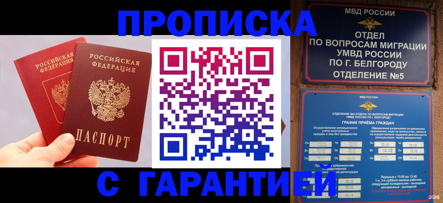 прописка 2025 в Чайковском